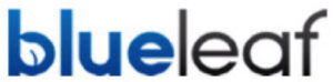 Blue Leaf logo